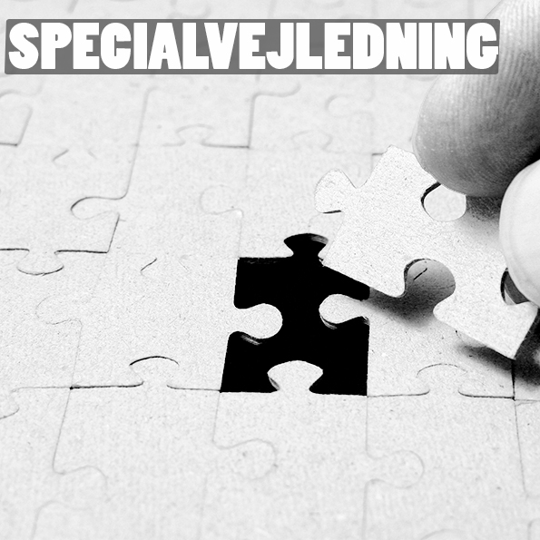 UU Specialvejledning. Billedet viser et puslespil påført teksten specialvejledning..